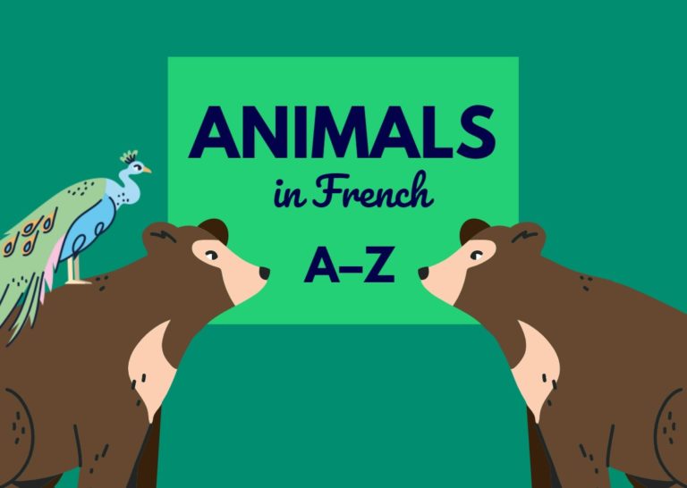 an-exhaustive-list-of-animal-names-in-french-frenchanted